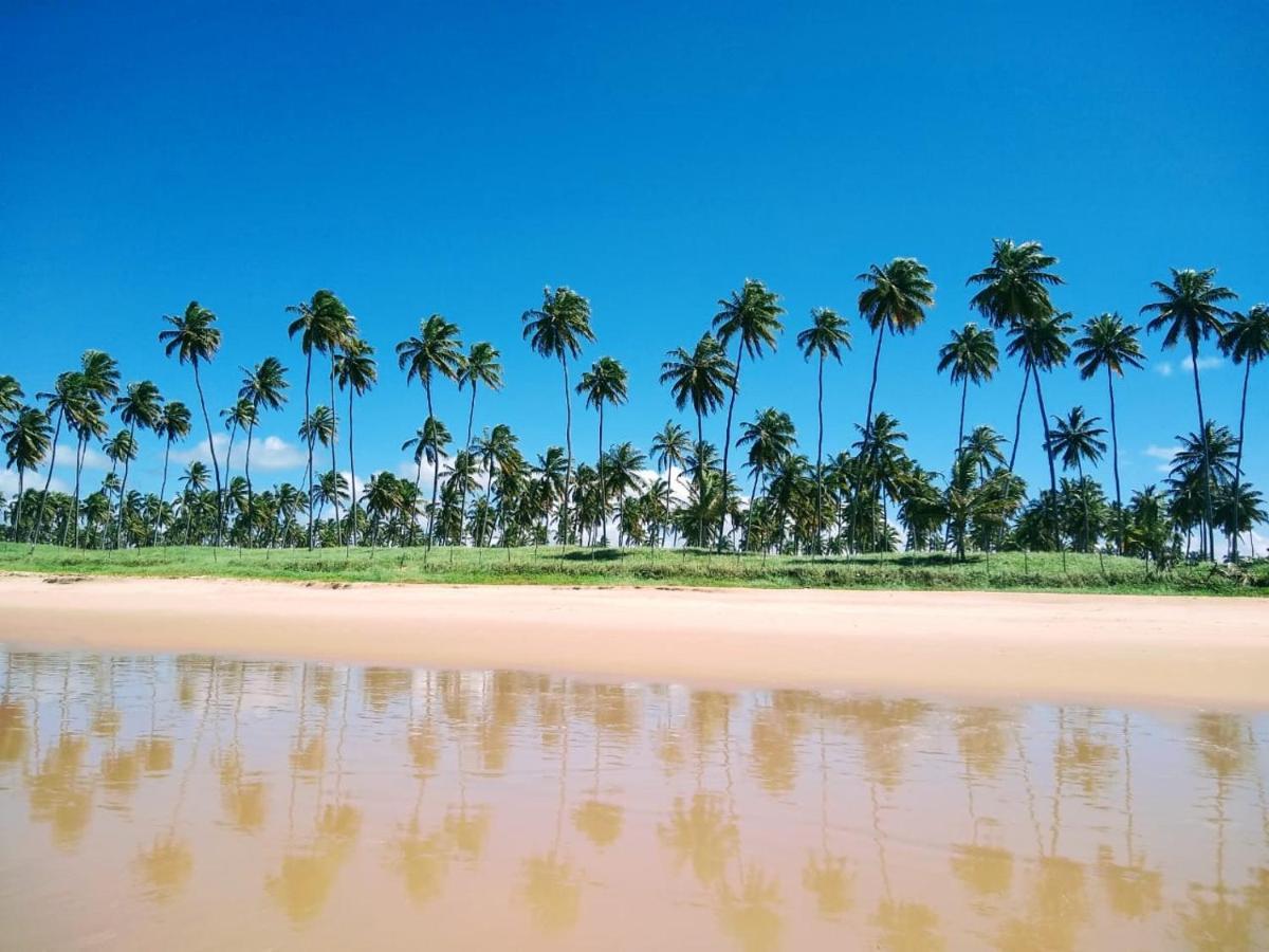 Flat Excelente Em Porto De Galinhas Palm Village Acqua Frente Para As Piscinas エクステリア 写真